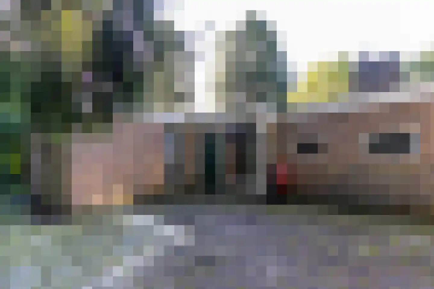 Sparrenlaan 6 Assen thumbnail 6