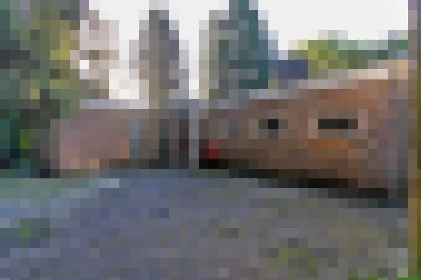 Sparrenlaan 6 Assen thumbnail 8