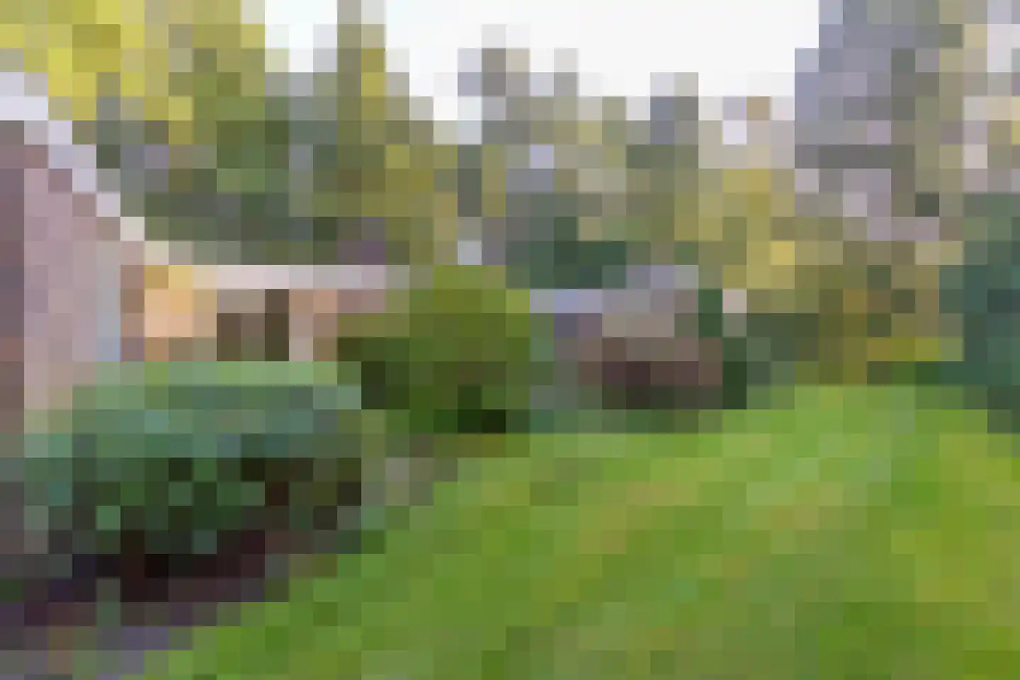 Sparrenlaan 6 Assen thumbnail 9