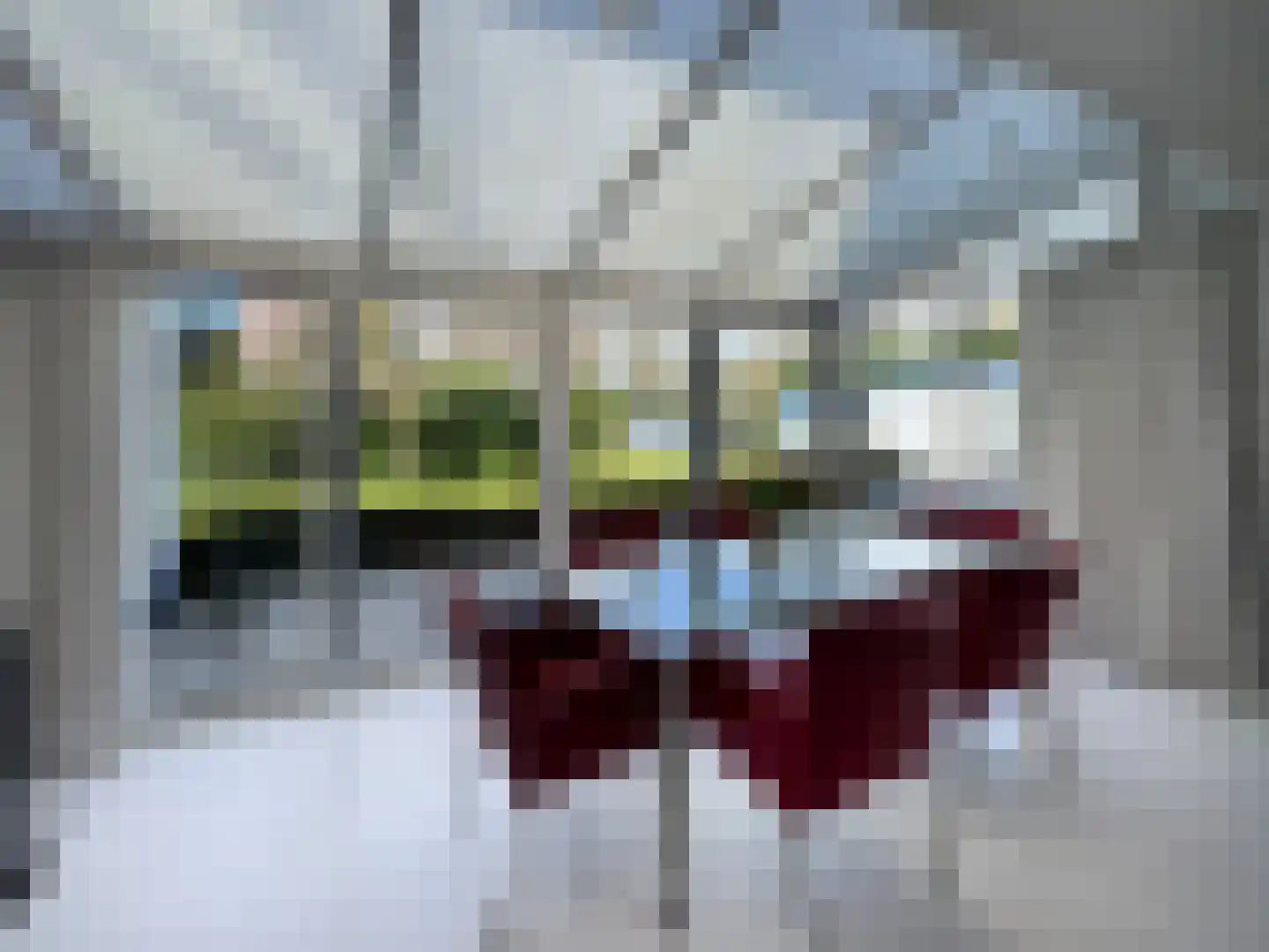 Sparrenlaan 6 Huizen thumbnail 10