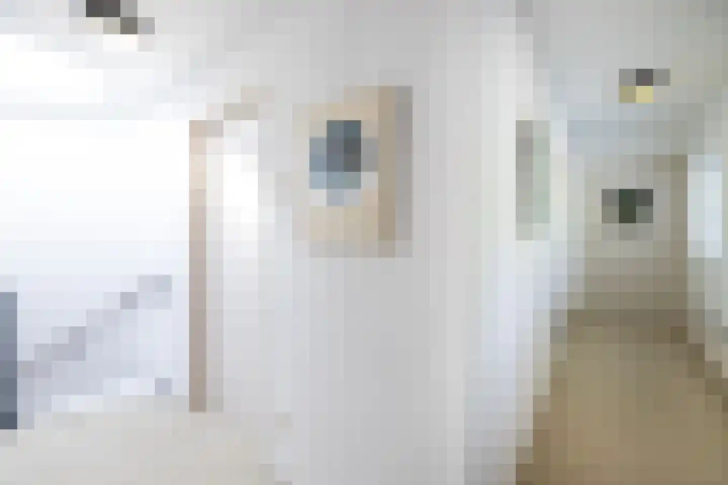 Sparrenlaan 6 Huizen thumbnail 25