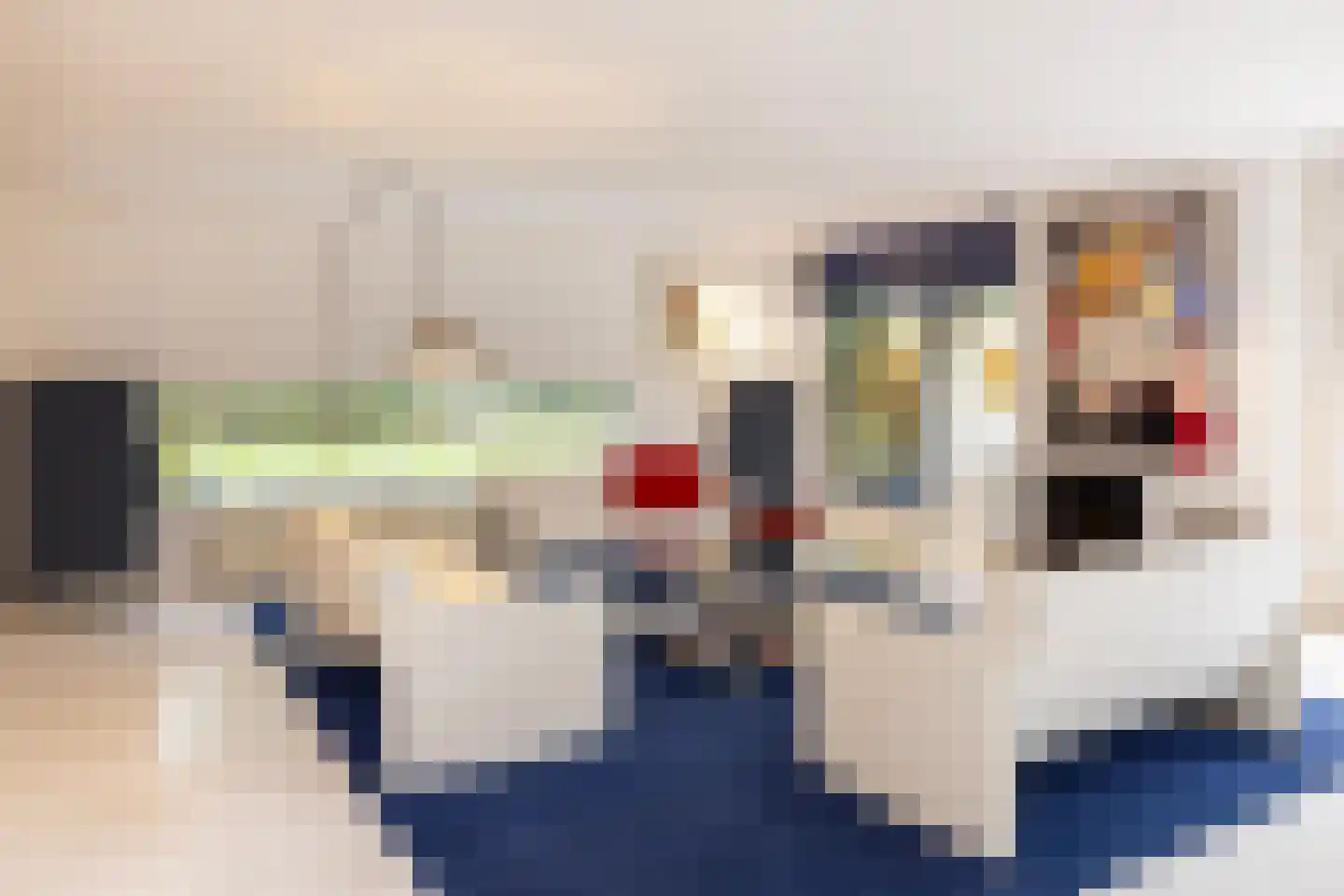 Sparrenlaan 6 Huizen thumbnail 5