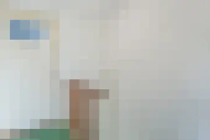 Sparrenlaan 70 Nijkerk thumbnail 12