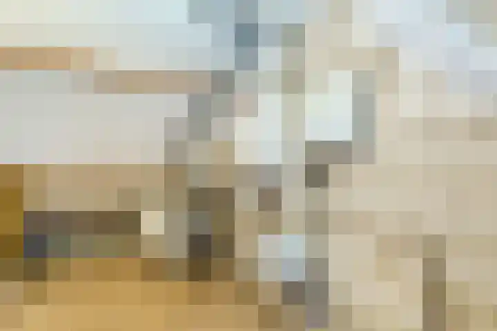 Sparrenlaan 70 Nijkerk thumbnail 24