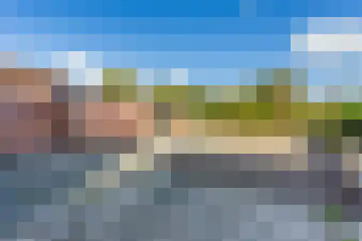 Sparrenlaan 70 Nijkerk thumbnail 29