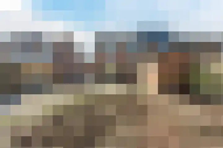Sparrenlaan 70 Nijkerk thumbnail 30