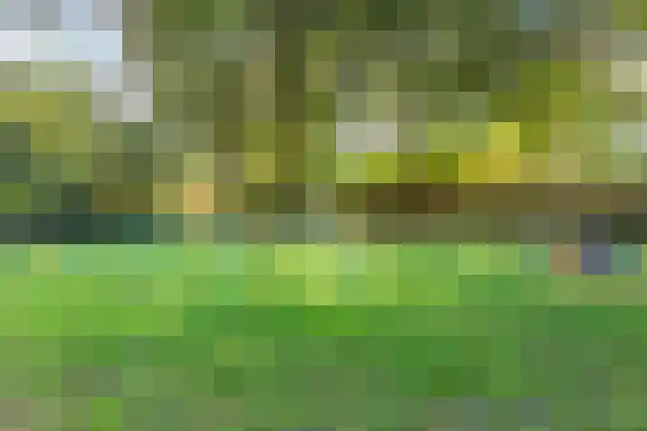 Sparrenlaan 70 Nijkerk thumbnail 32