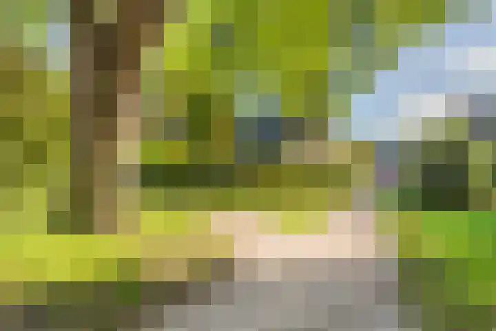 Sparrenlaan 70 Nijkerk thumbnail 33