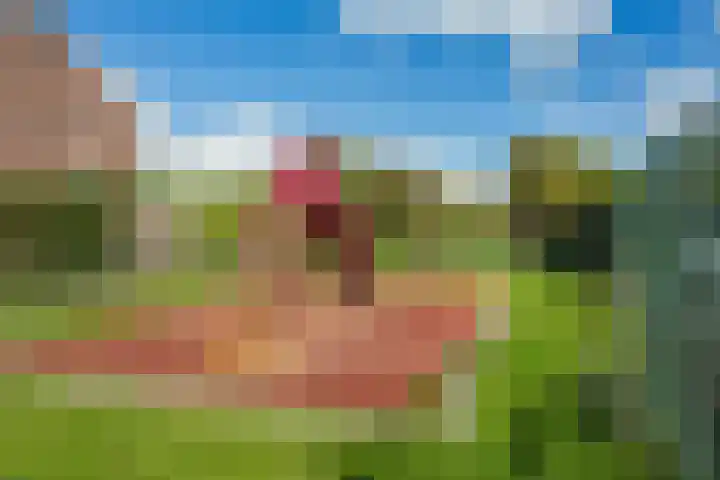 Sparrenlaan 70 Nijkerk thumbnail 34