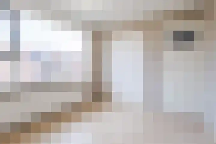 Sparrenlaan 71 Nijkerk thumbnail 22