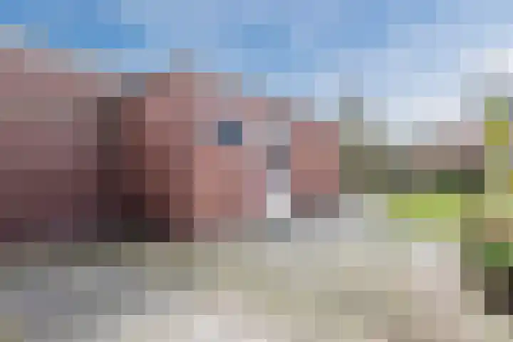 Sparrenlaan 71 Nijkerk thumbnail 33