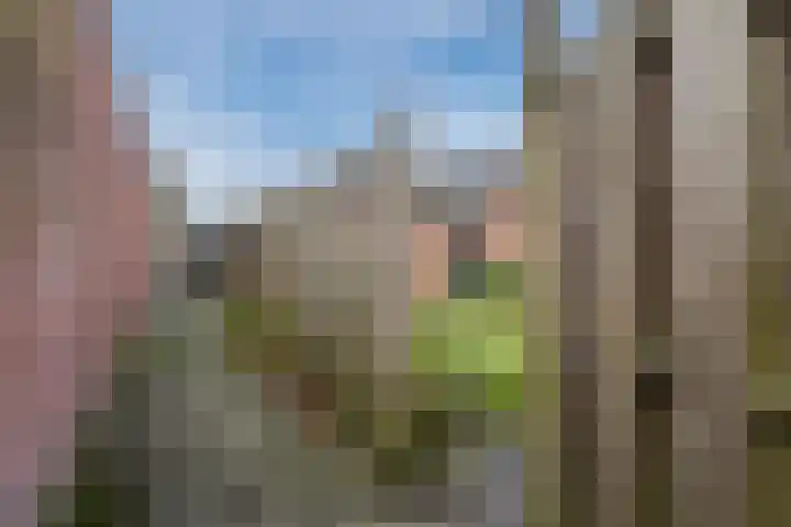 Sparrenlaan 71 Nijkerk thumbnail 35