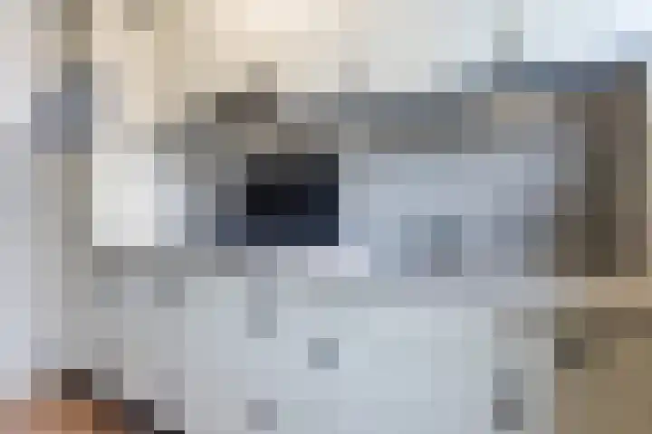 Sparrenlaan 71 Nijkerk thumbnail 9