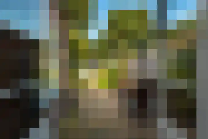 Sparrenlaan 72 Baarn thumbnail 15
