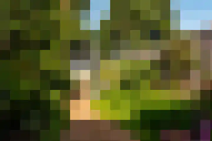 Sparrenlaan 72 Baarn thumbnail 17