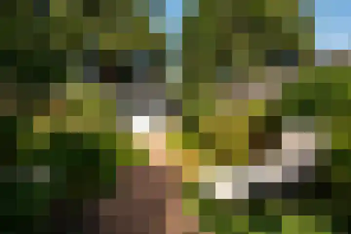 Sparrenlaan 72 Baarn thumbnail 18
