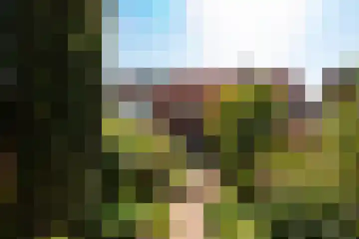 Sparrenlaan 72 Baarn thumbnail 4