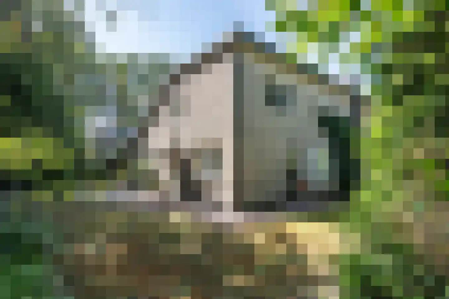 Sparrenlaan 8 Aerdenhout thumbnail 21