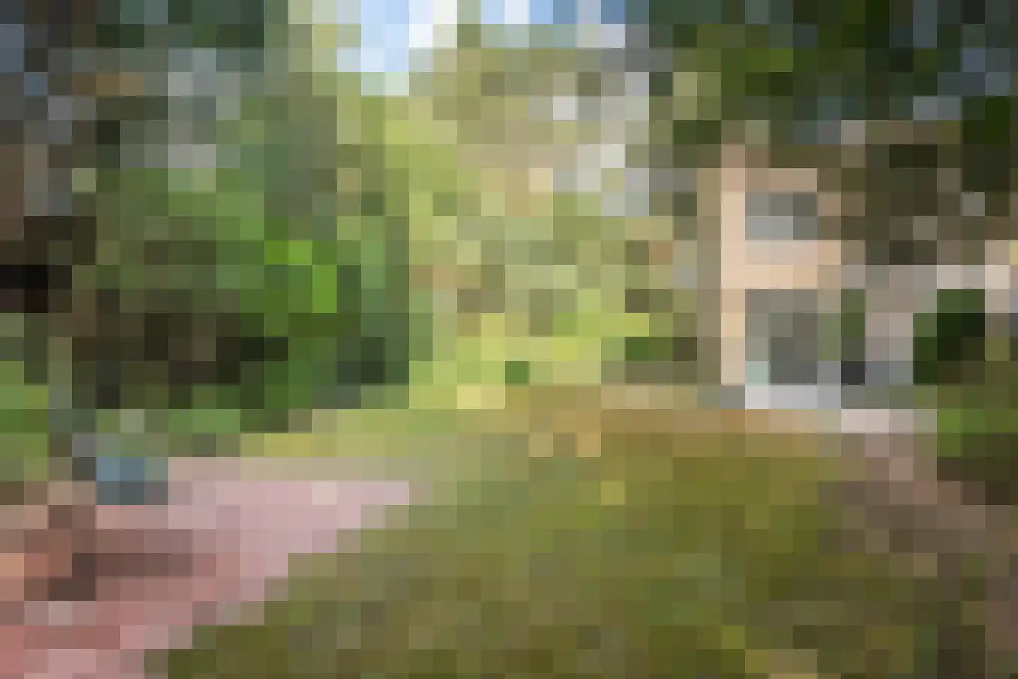 Sparrenlaan 8 Aerdenhout thumbnail 22