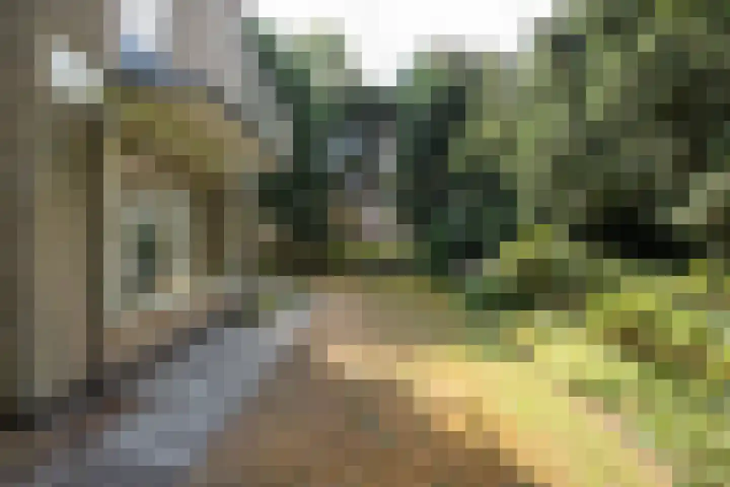 Sparrenlaan 8 Aerdenhout thumbnail 24