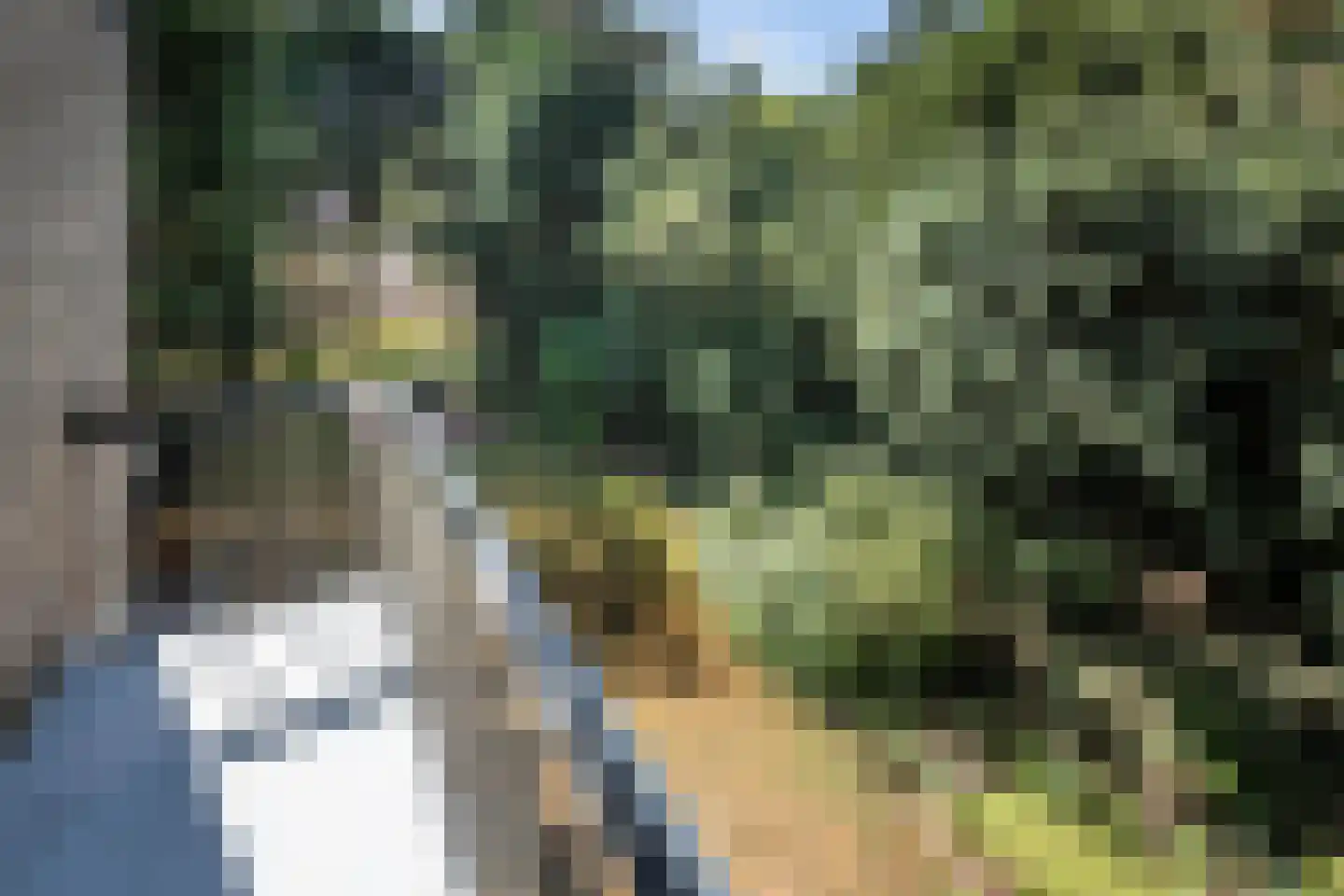Sparrenlaan 8 Aerdenhout thumbnail 42