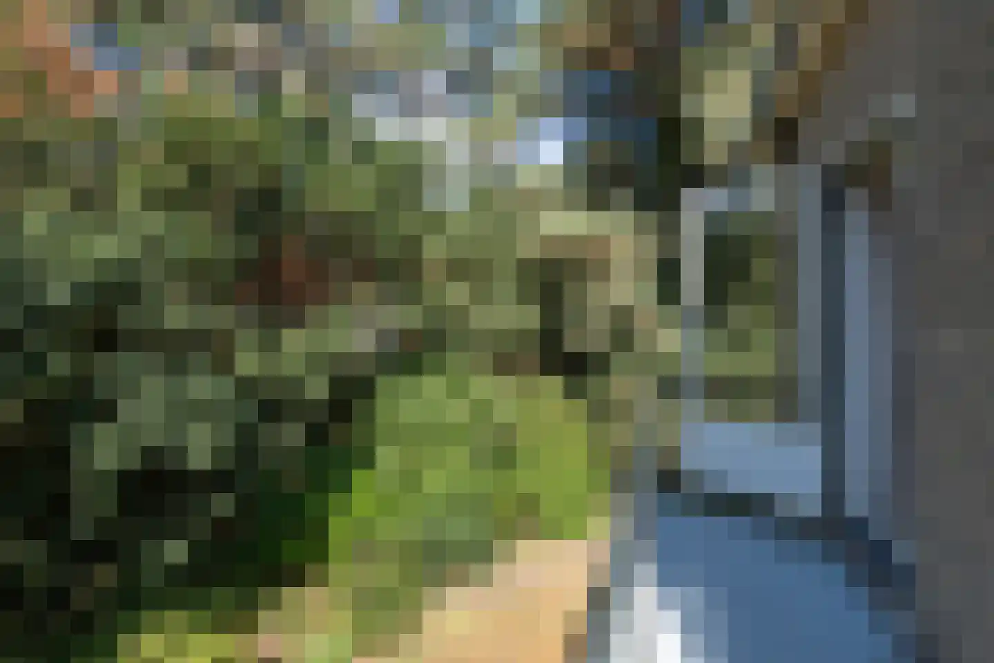 Sparrenlaan 8 Aerdenhout thumbnail 43