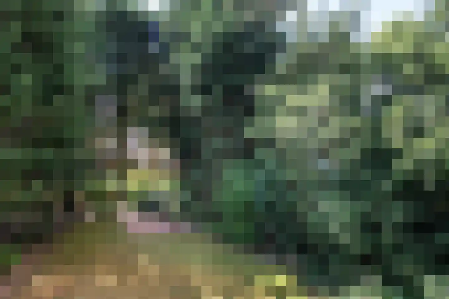 Sparrenlaan 8 Aerdenhout thumbnail 47