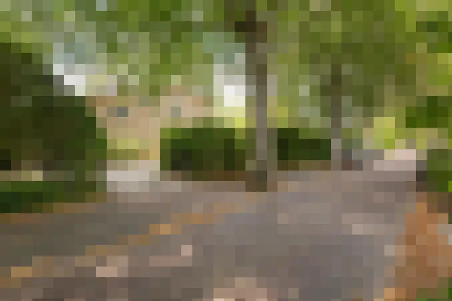Sparrenlaan 8 Aerdenhout thumbnail 58