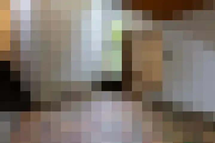 Sparrenlaan 8 Ossendrecht thumbnail 13