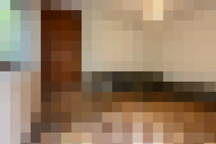 Sparrenlaan 8 Ossendrecht thumbnail 16