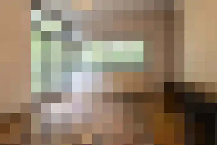Sparrenlaan 8 Ossendrecht thumbnail 17
