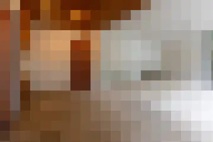 Sparrenlaan 8 Ossendrecht thumbnail 20