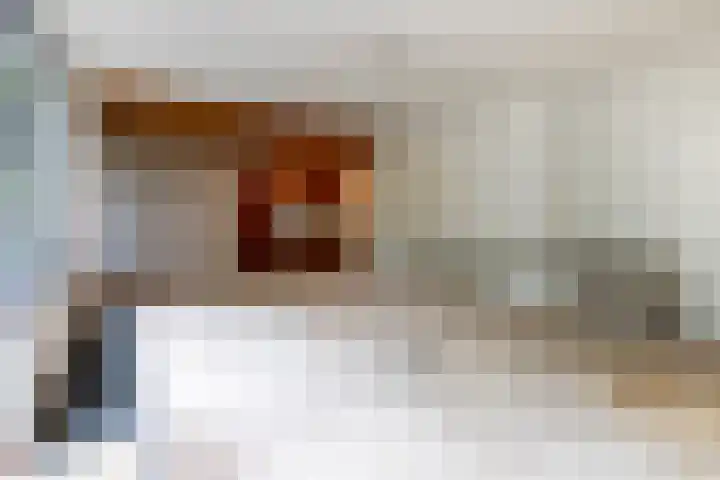 Sparrenlaan 8 Ossendrecht thumbnail 21