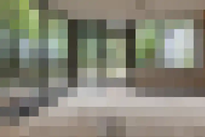 Sparrenlaan 8 Ossendrecht thumbnail 24