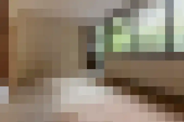 Sparrenlaan 8 Ossendrecht thumbnail 33