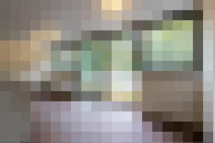 Sparrenlaan 8 Ossendrecht thumbnail 38