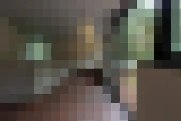 Sparrenlaan 8 Ossendrecht thumbnail 39