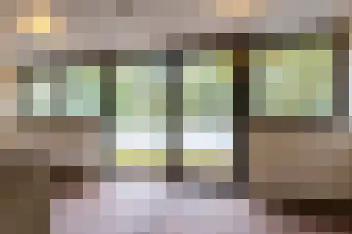 Sparrenlaan 8 Ossendrecht thumbnail 41