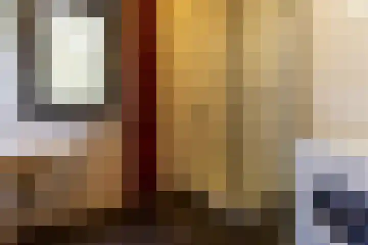 Sparrenlaan 8 Ossendrecht thumbnail 43