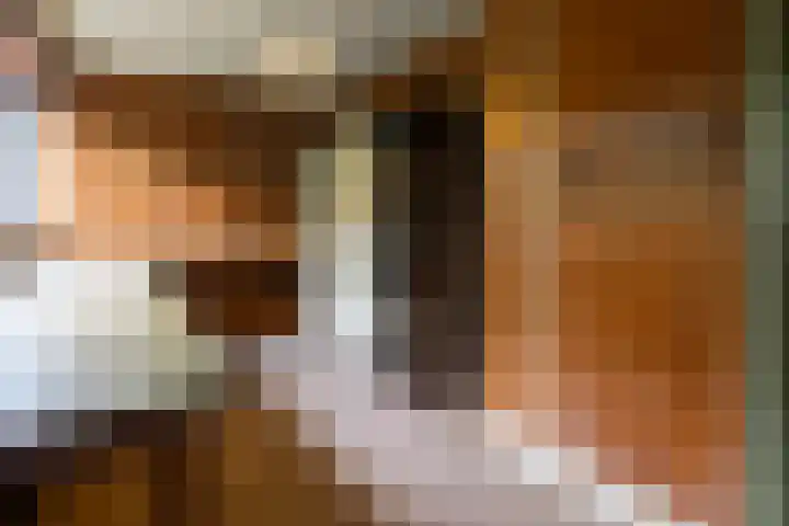 Sparrenlaan 8 Ossendrecht thumbnail 48