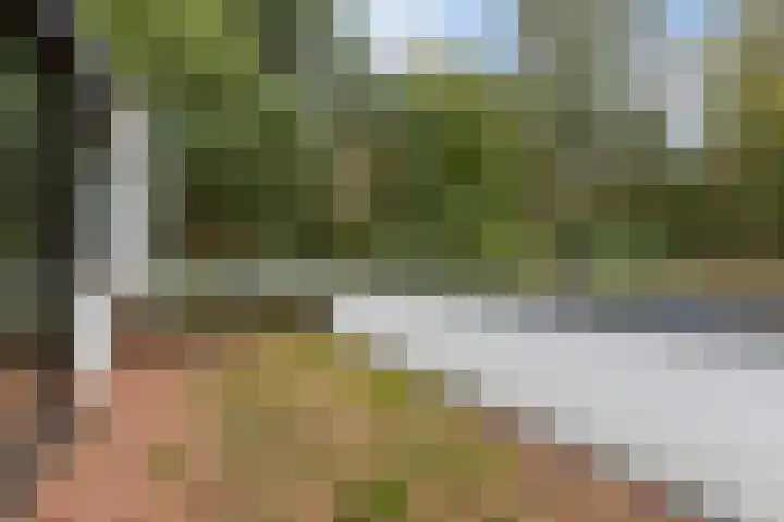 Sparrenlaan 8 Ossendrecht thumbnail 49