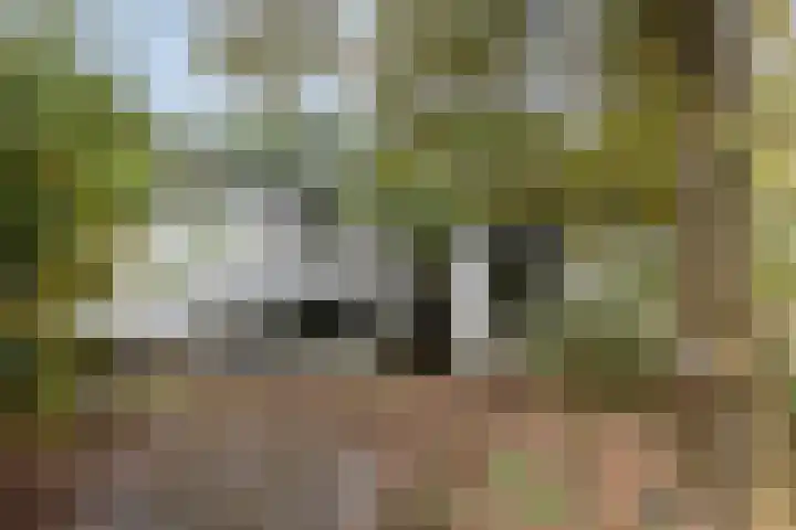 Sparrenlaan 8 Ossendrecht thumbnail 5