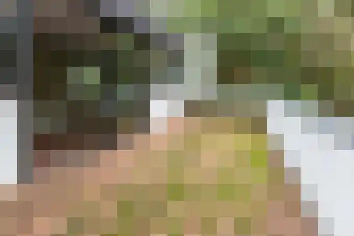Sparrenlaan 8 Ossendrecht thumbnail 51