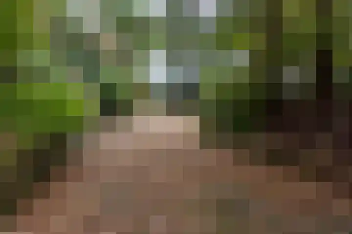 Sparrenlaan 8 Ossendrecht thumbnail 54