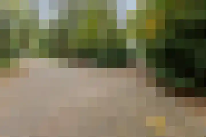 Sparrenlaan 8 Ossendrecht thumbnail 55