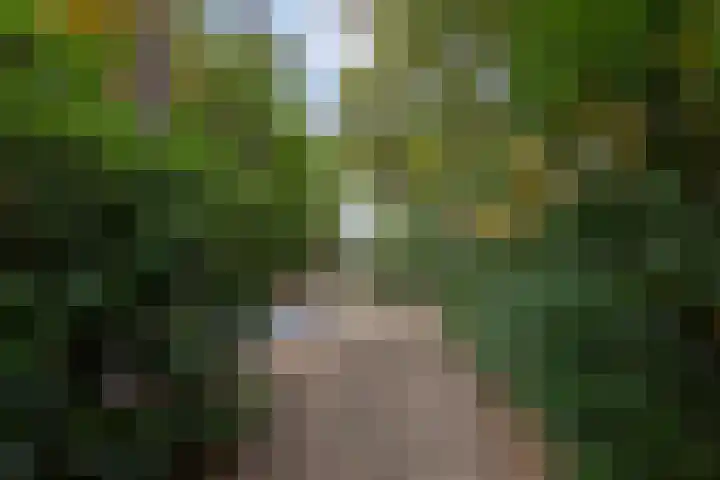 Sparrenlaan 8 Ossendrecht thumbnail 56