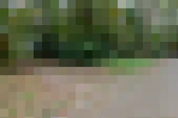 Sparrenlaan 8 Ossendrecht thumbnail 58
