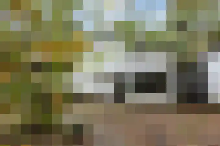 Sparrenlaan 8 Ossendrecht thumbnail 6