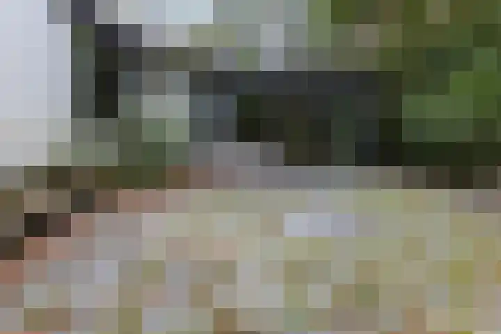 Sparrenlaan 8 Ossendrecht thumbnail 61