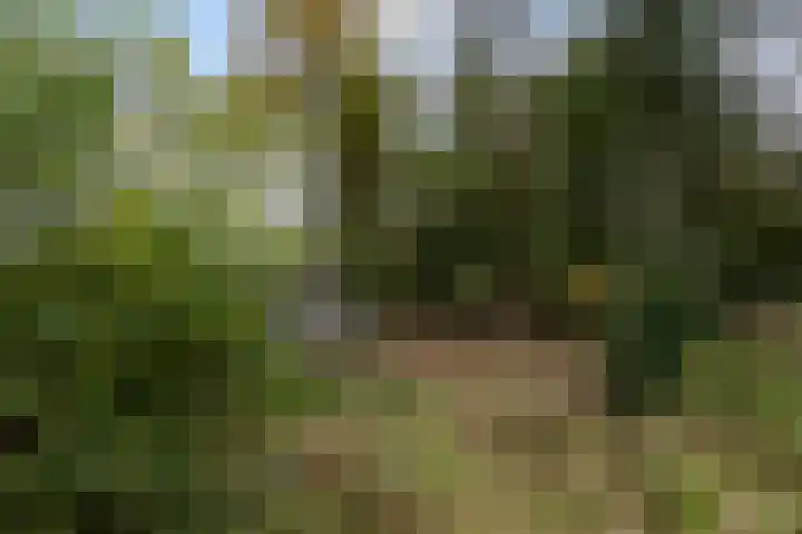 Sparrenlaan 8 Ossendrecht thumbnail 62